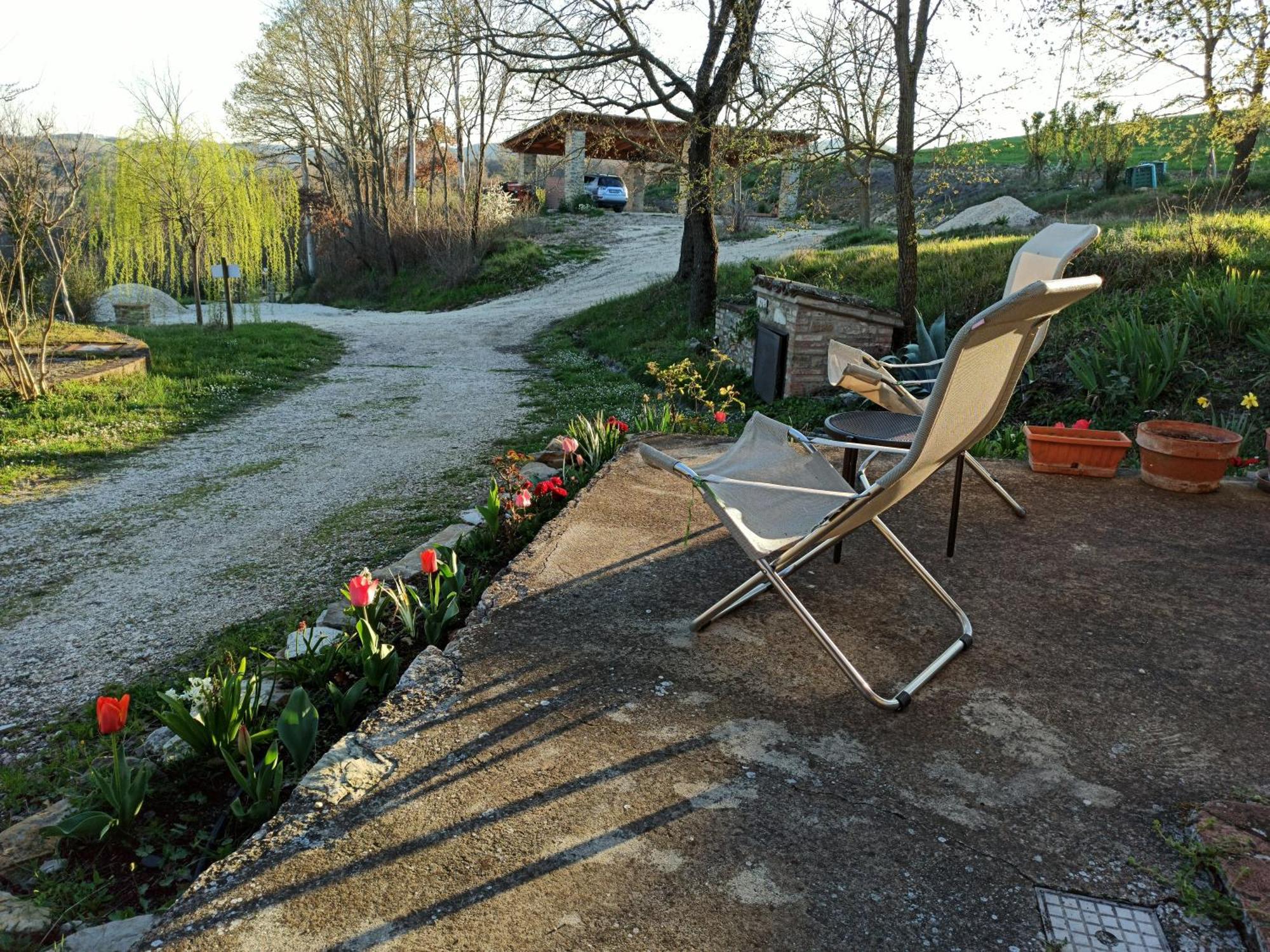 Agriturismo Casa Greppo San Venanzo Eksteriør bilde